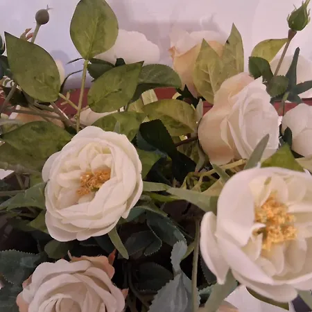 Rustico Degli Ulivi Дом отдыха Vallecchia