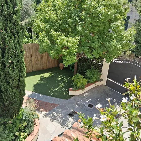 Rustico Degli Ulivi Дом отдыха Vallecchia