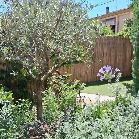 Дом отдыха Rustico Degli Ulivi Vallecchia