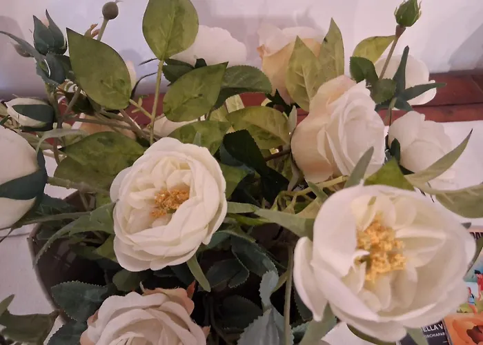 Rustico Degli Ulivi Feriehus Vallecchia